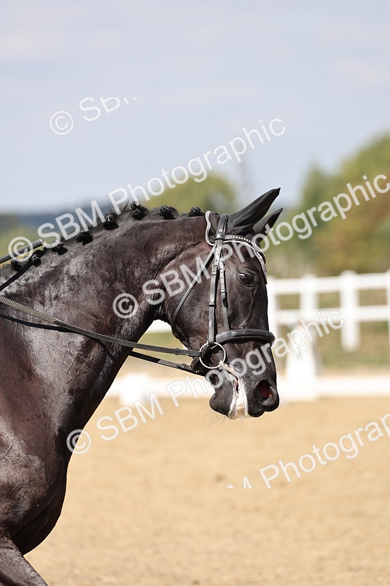 SBM_018691 - Class 16 - Novice 5 - 12.08-13.11