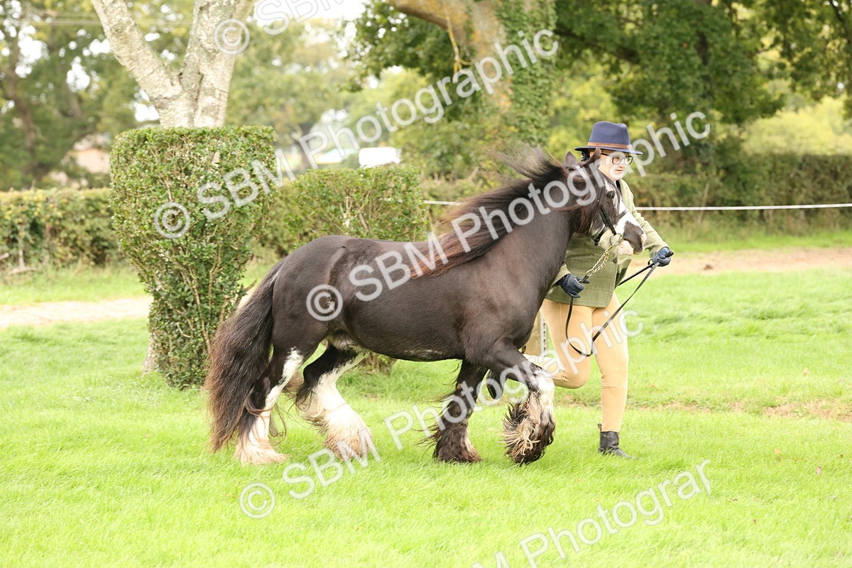 SBM_59282 - S57 - Traditional Cob In Hand
