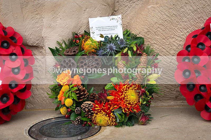 Z62_4718 - Animals In War Memorial 2025 - Park Lane, London