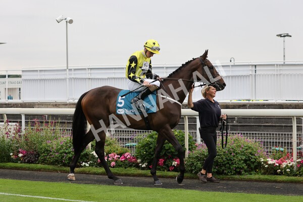 yr22072022r2-5 - Race 2 5.50pm eventmasters.co.uk Stakes