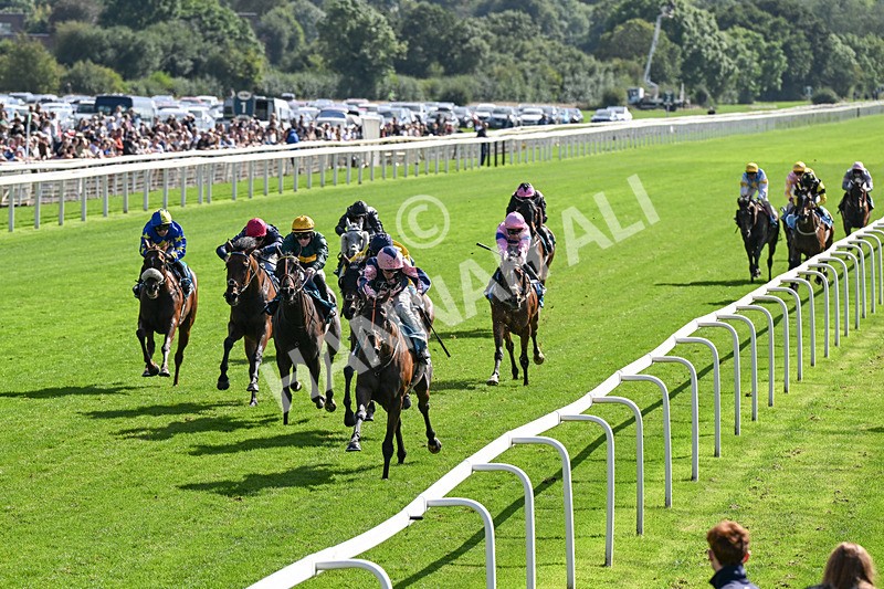 060926-Race 3-Moon Chime-0189 - Race 3 2.40pm Hanson Springs Stayers Handicap