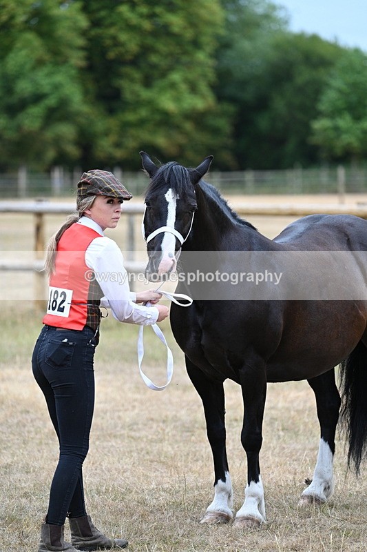 WJ7_8116 - Class 4 Prettiest Mare up to 14.2hh