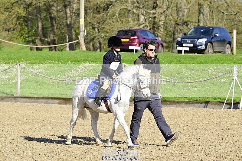 260411A-092208-00126 - 40cm Lead Rein