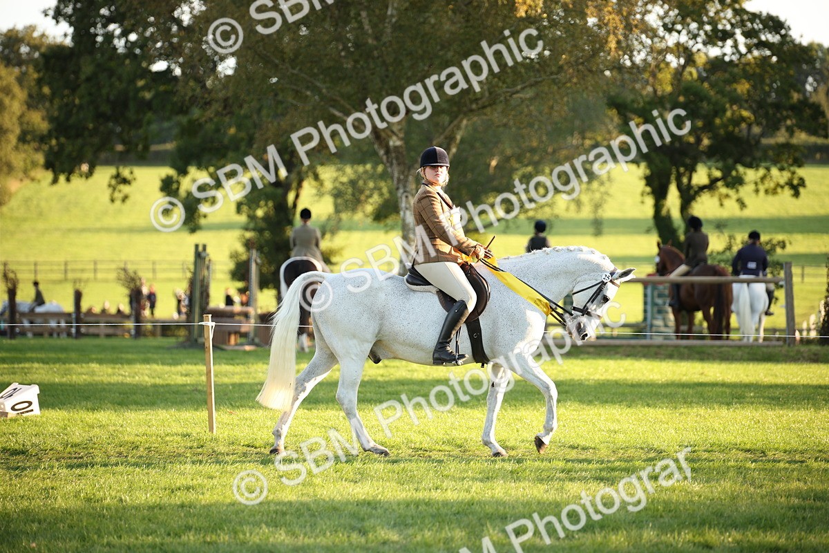 SBM_57042 - Veteran Supreme Championship