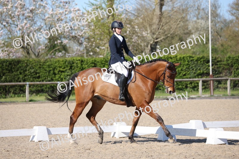 20250405-1095 - Class 17 - Novice 3