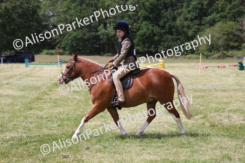 20260614-1936 - Class 21 - Novice Working Hunter Pony
