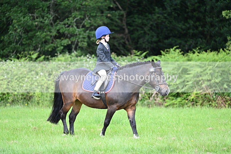 WJ7_1032 - Class 11 Condition & Turnout