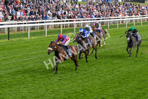 160524-Race 5-Big Evs-6325 - Race 5 4.15pm  British Stallion Studs EBF Westow Stakes