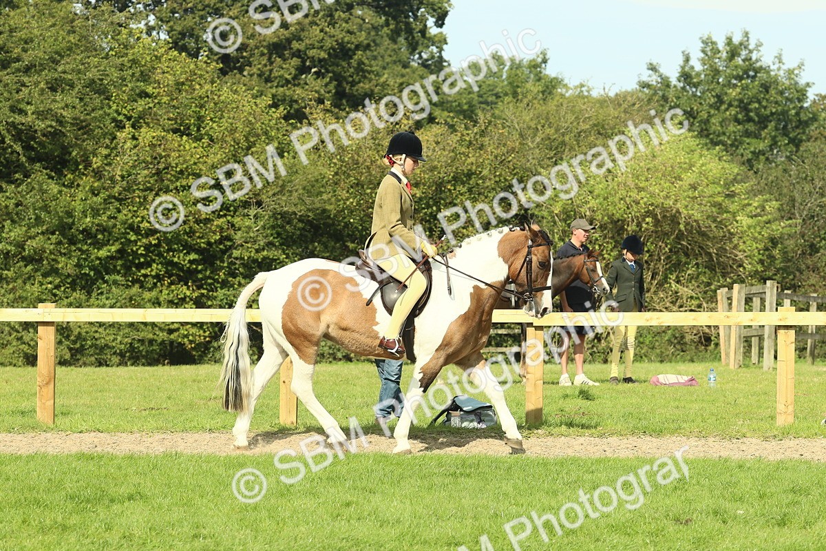 SBM_67397 - S56 - Coloured Pony Ridden