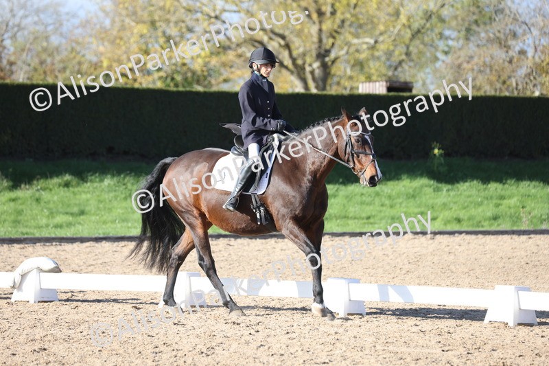 20251101-0563 - Class 4 - Novice 2