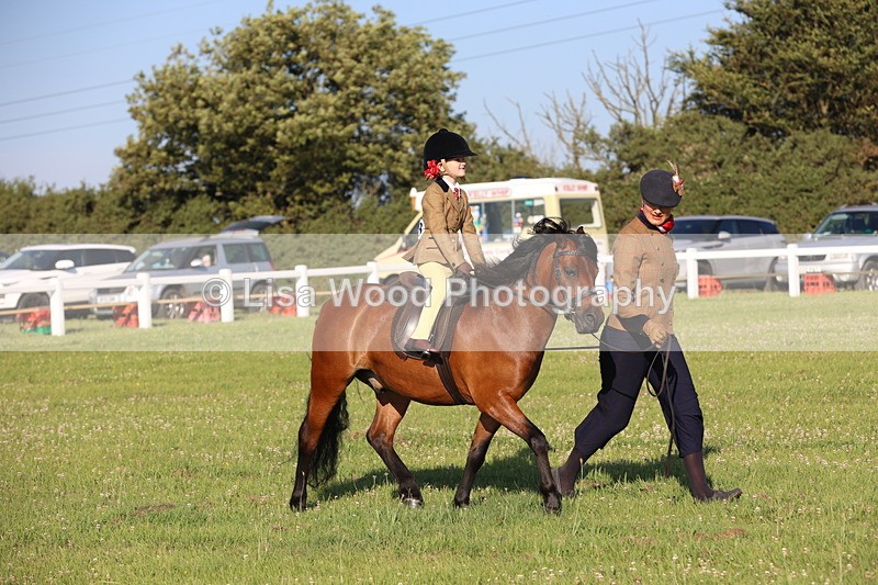JPP_0734 - Class 16: Cornish Combination Leading Rein
