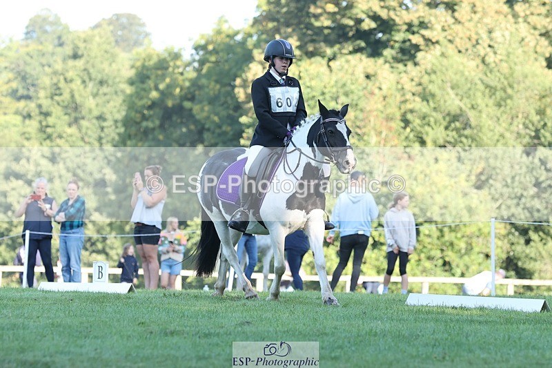 250823A-084031-25751 - Arena D