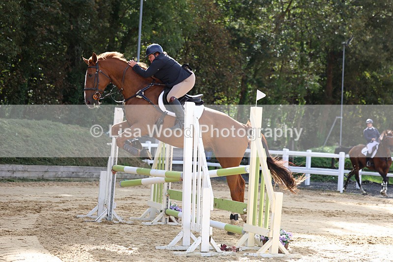 3E7A2122 - Class 4: Senior British Novice/90cm open