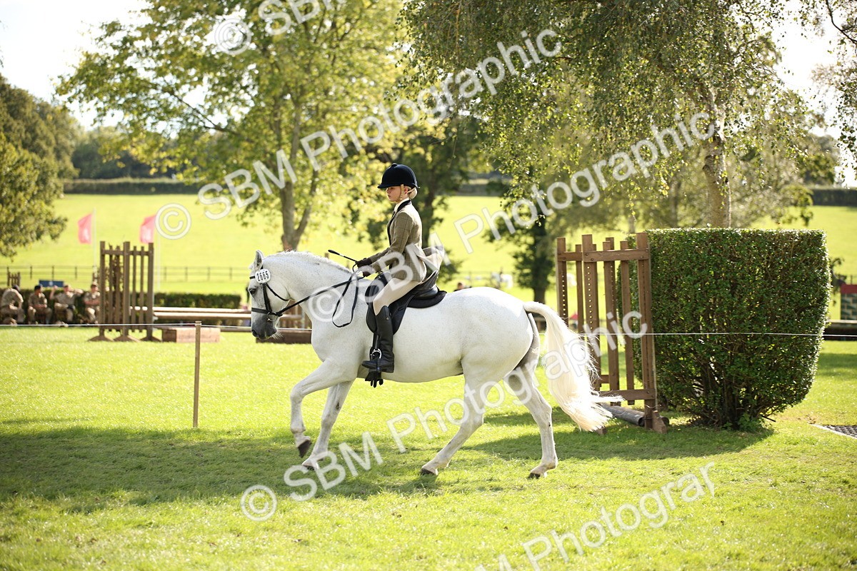 SBM_50055 - S26 - Young Veteran - Ridden