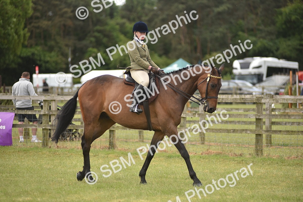 SBM_15125 - Class 113-114 - Retraining of Racehorses Ridden
