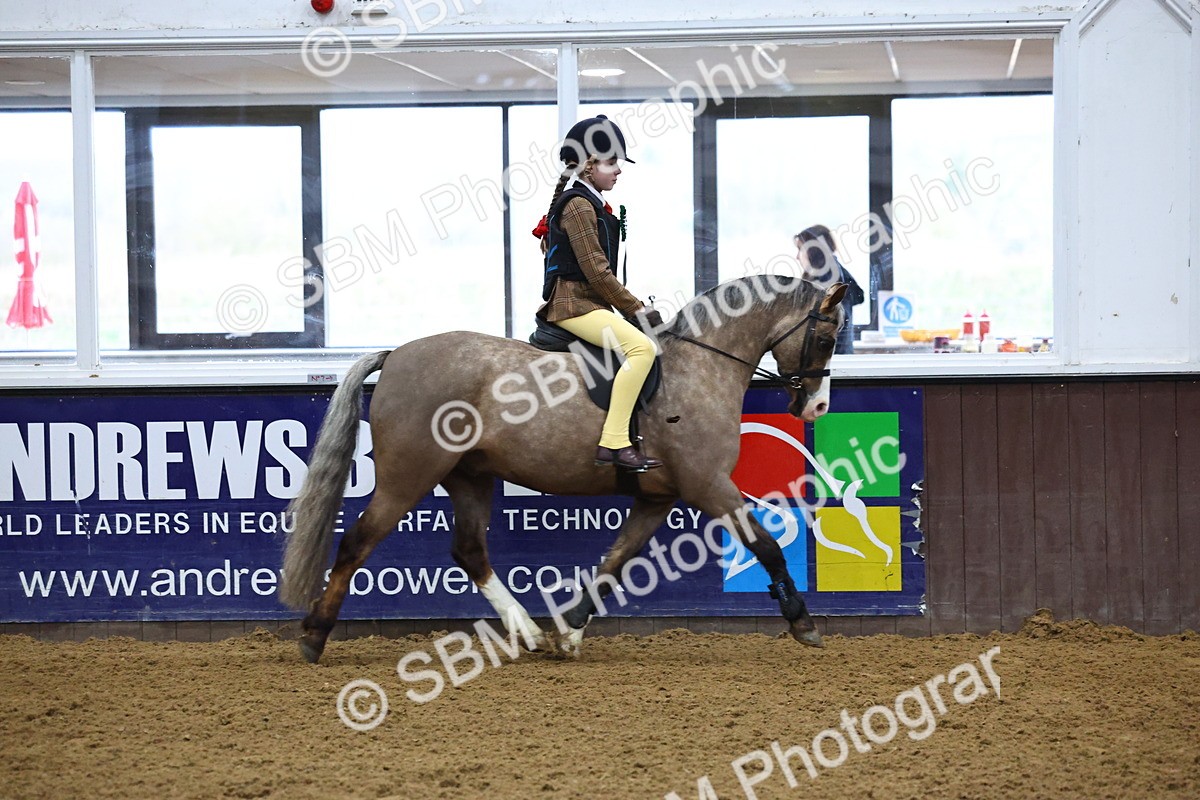 SBM_003221 - Class 35 - 60cm Training Stakes