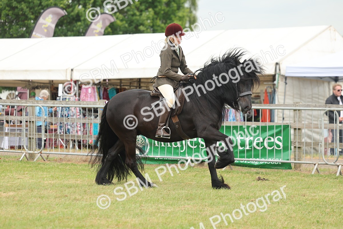 SBM_08955 - Class 78-80 - Ridden M&M Non Welsh Ponies
