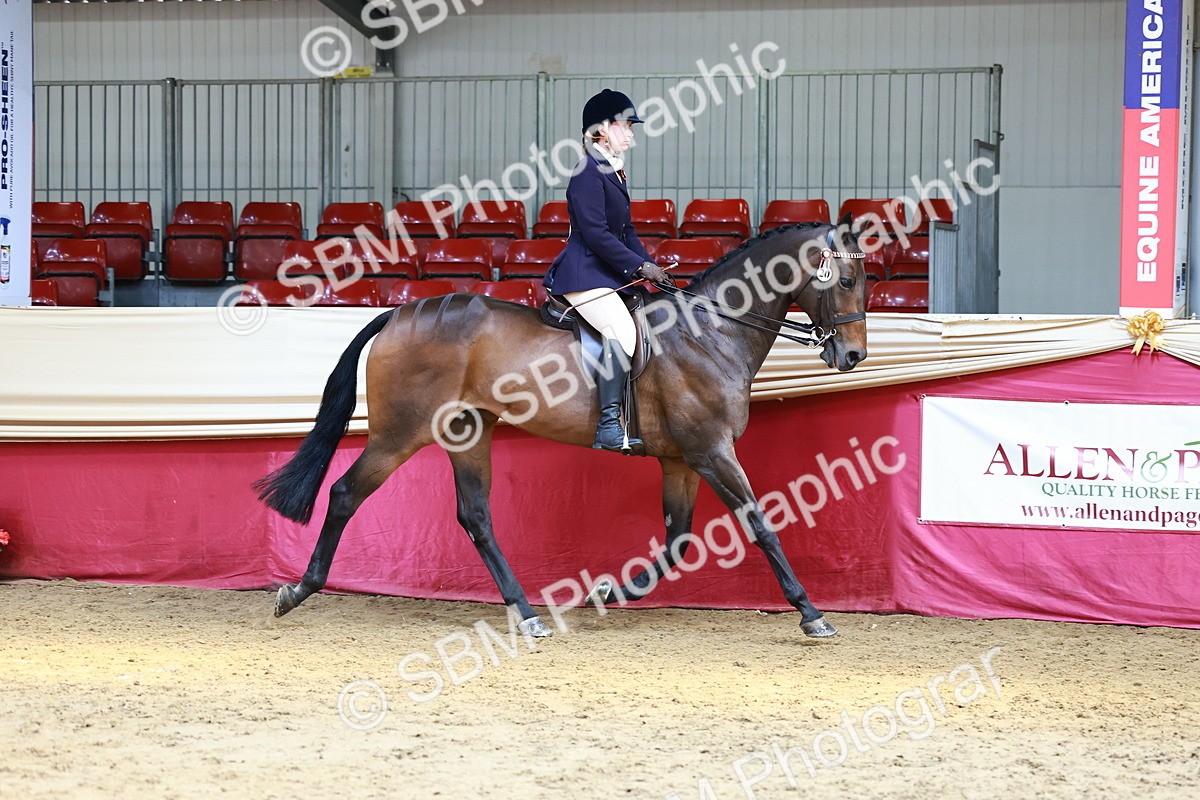SBM_23867 - Class 905 - Supreme Final - Ridden Veteran
