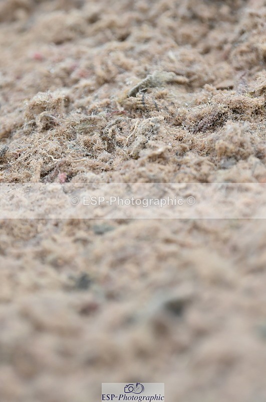 230630A-164246-03493 - Cls 4 Prelim 18