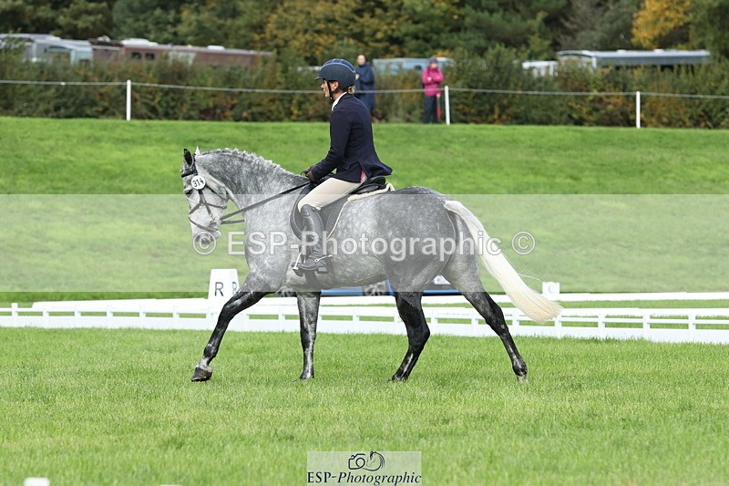 251023A-113331-03356 - D-314-Alice.Tollworthy