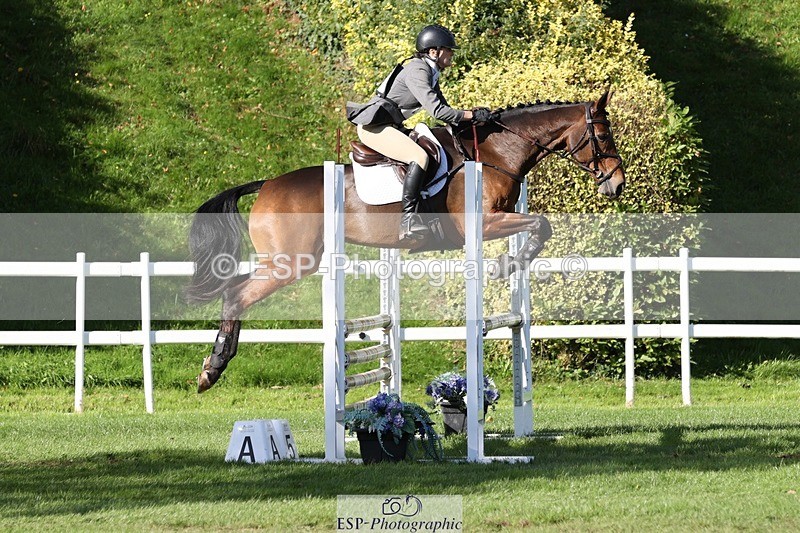231022-130044-27460 - 507-EDGEDALE.BLUE.LADY-Katie.Lavin-TrotUp+SJ