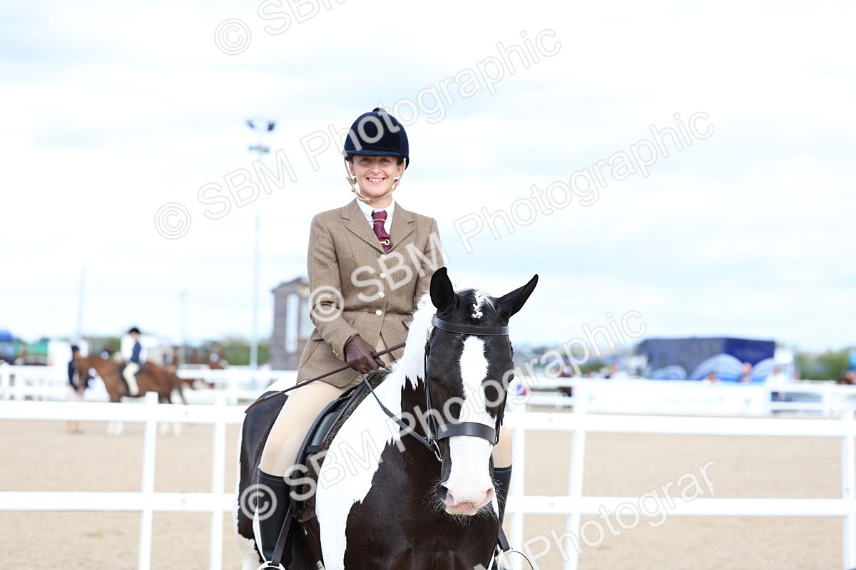 SBM_15818 - Class 314 - Family Horse - Pony