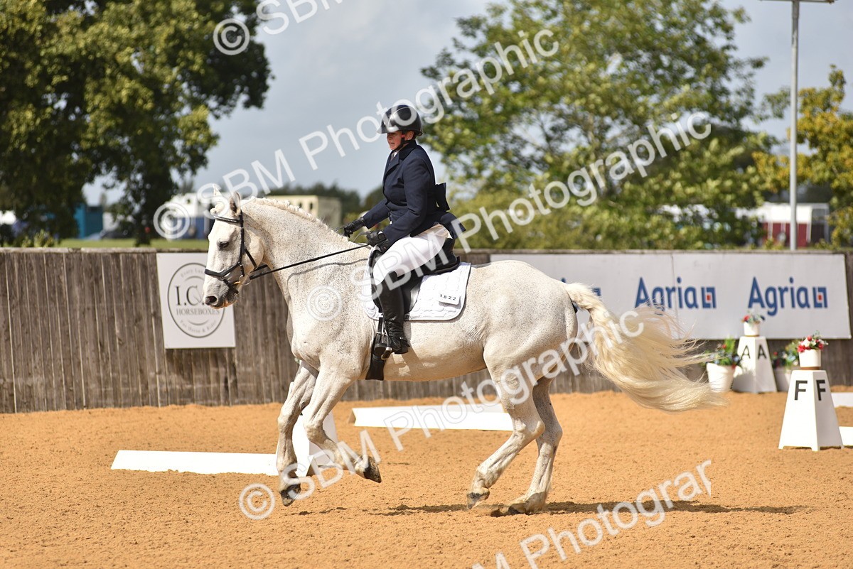 SBM_07789 - D15 - Small Tour Championship Novice 1