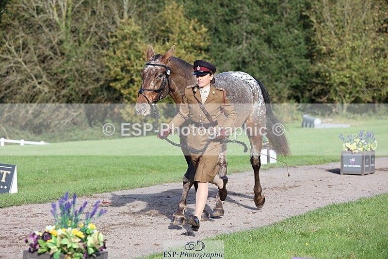 241027-102520-15879 - 501-Captain.Holly.Day-MUSTANG