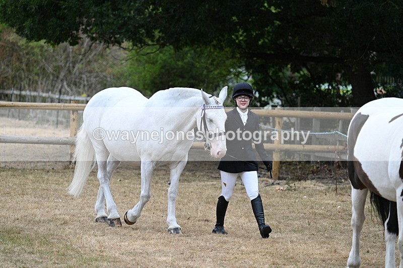 WJ7_8685 - Class 4a Prettiest Mare 14.2hh and over