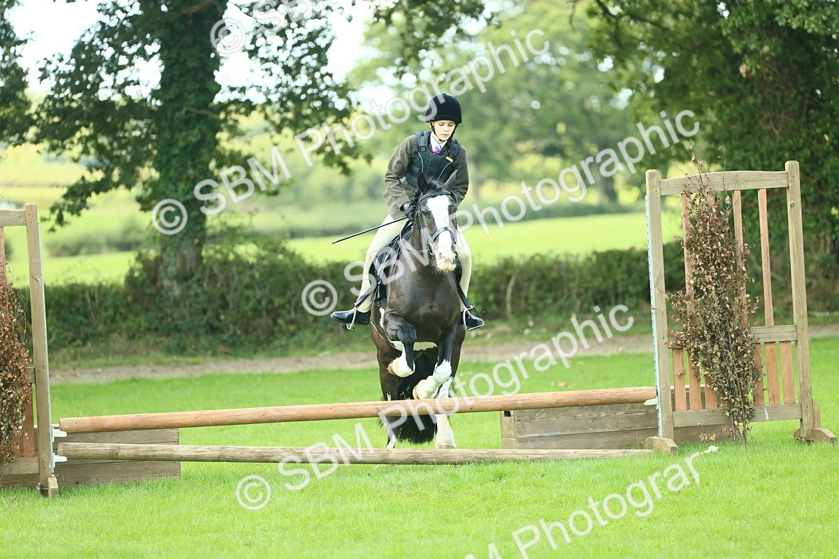 SBM_42016 - S29 - Novice & Newcomers Working Hunter Pony