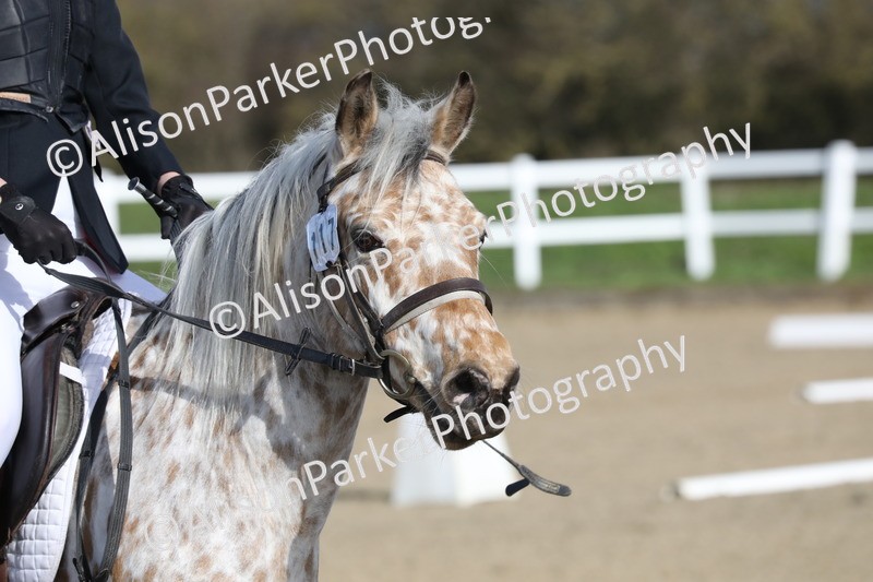 20260314-0154 - DR1 - Intro 1