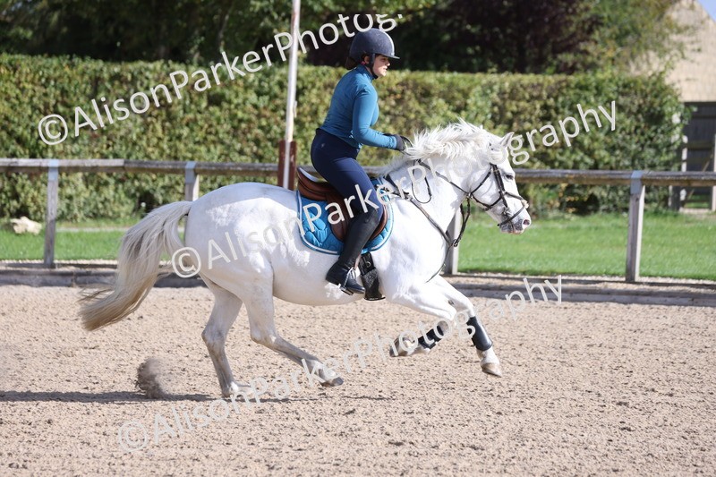 20251005-0330 - Class 3 - 60cm