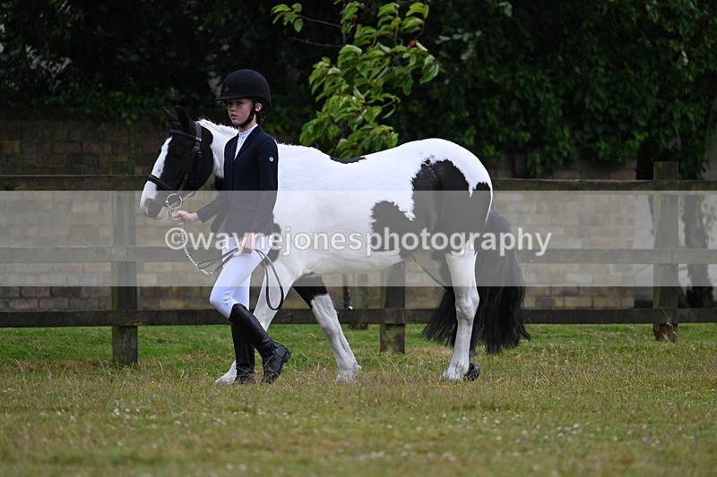 WJ7_5843 - Class 4 Prettiest Mare in Hand