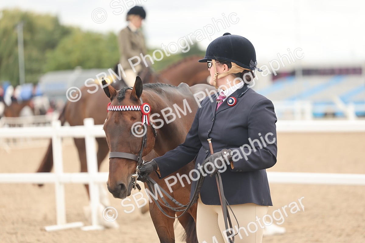 SBM_17109 - Class 313 - IH Retired Racehorse