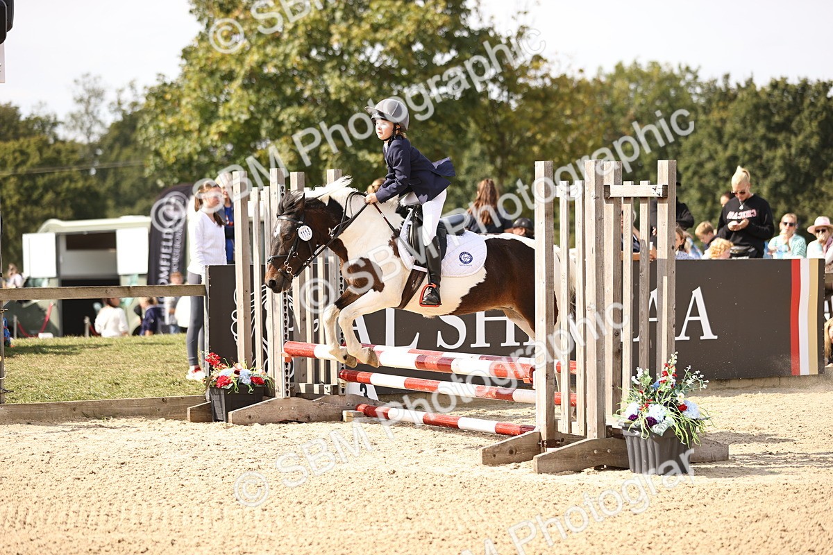 SBM_66912 - J13 - Junior Pony 60cm Championship