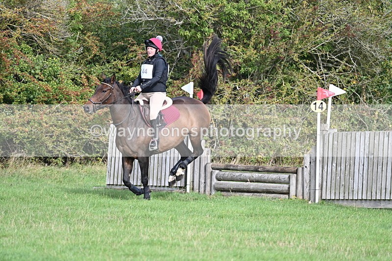 WJ7_8273 - 60cm Pairs