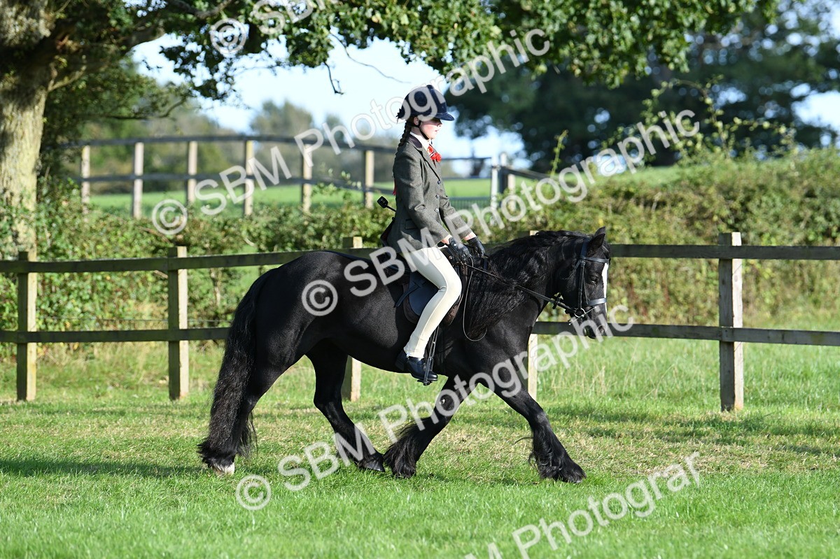 SBM_54012 - S23 - 1st Ridden Mountain & Moorland Pony