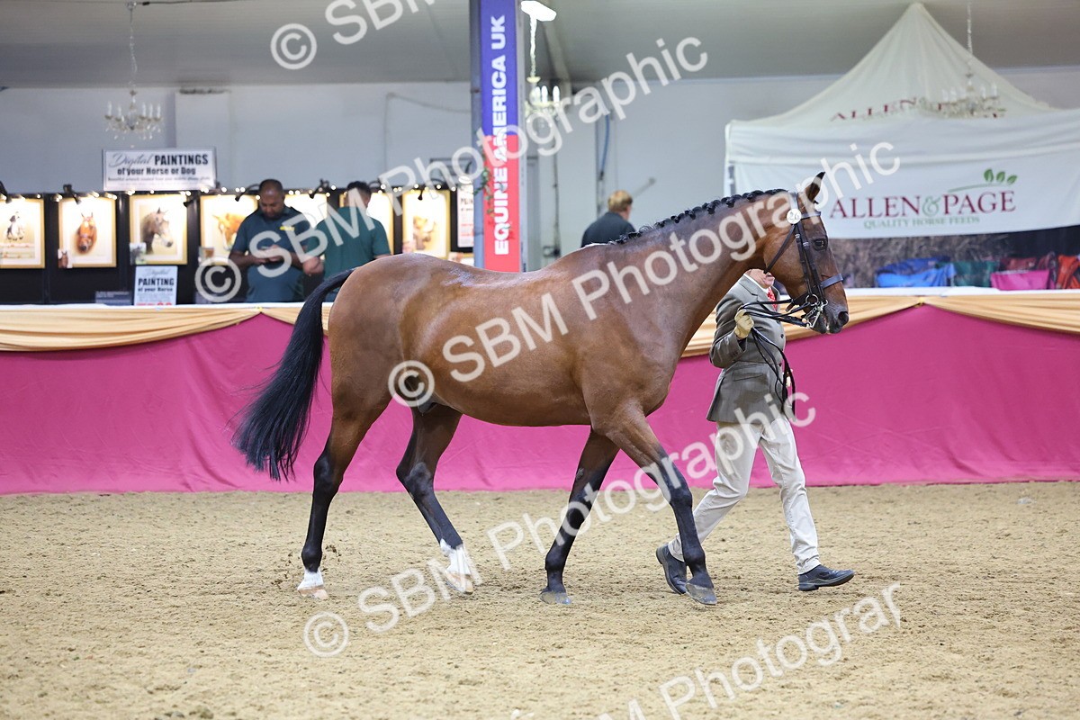 SBM_19515 - Class 901 - Supreme Final - IH Diamond