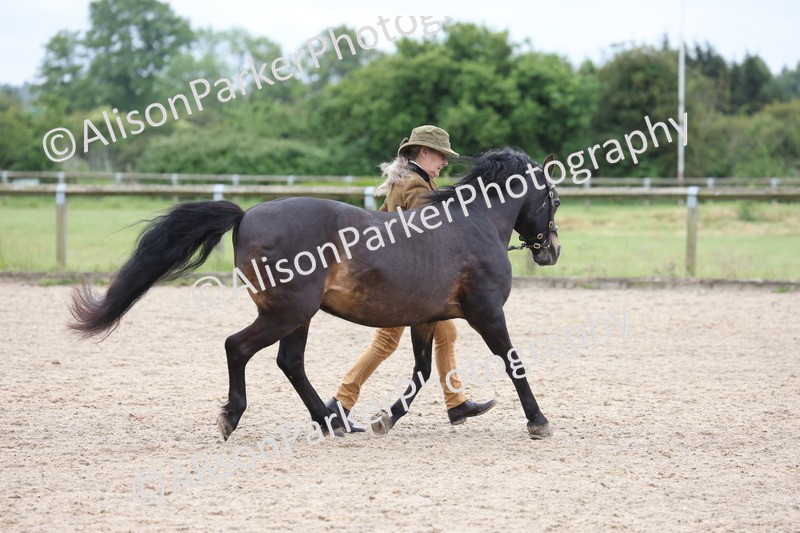 20250524-0680 - Class 7 - Veteran