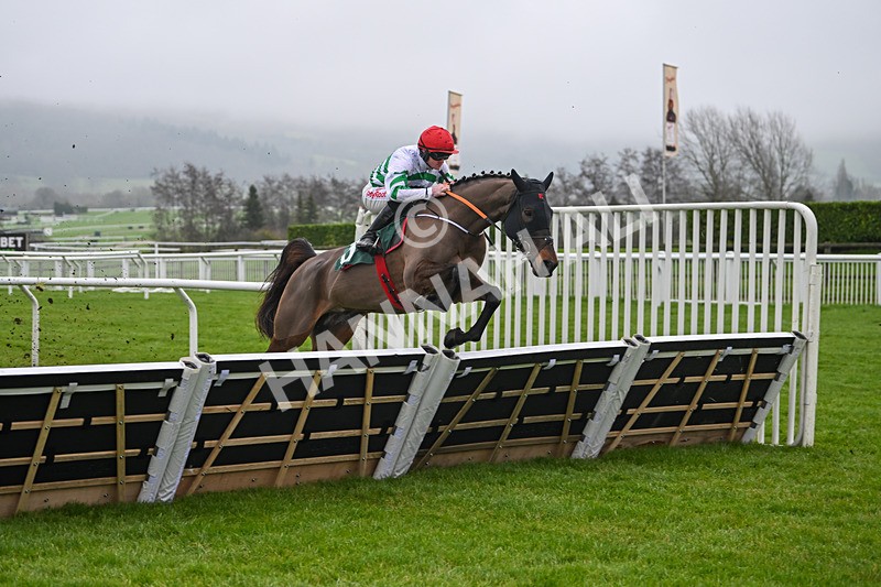 131224-Race 1-Wingmen-8544 - Race 1