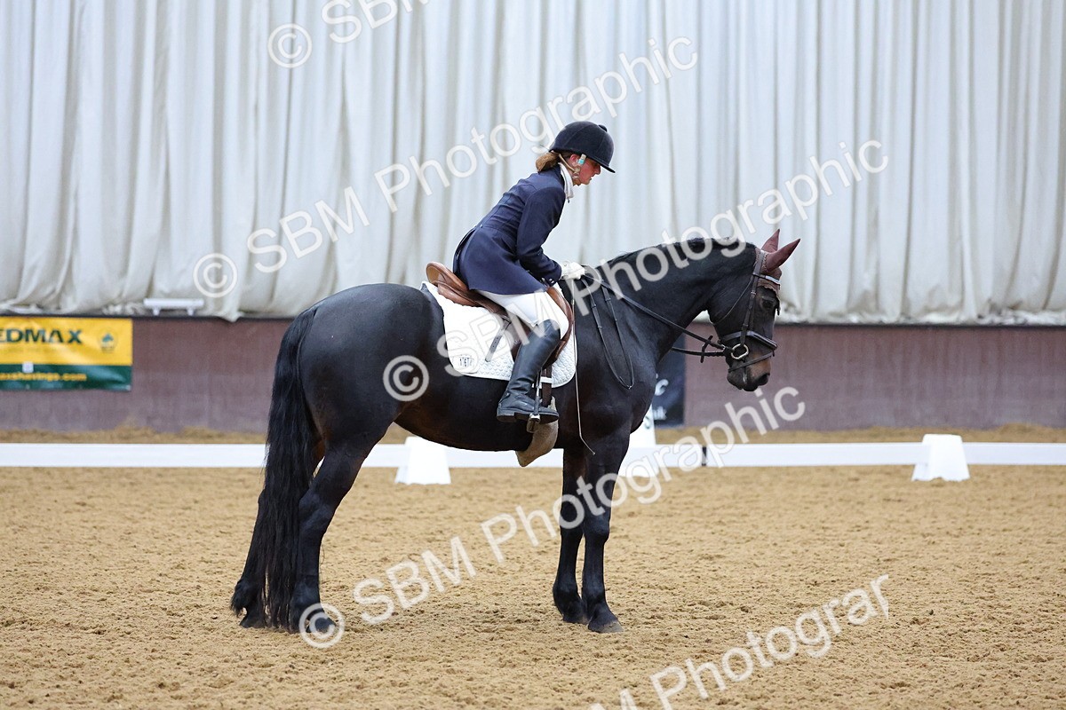 SBM_001003 - Novice