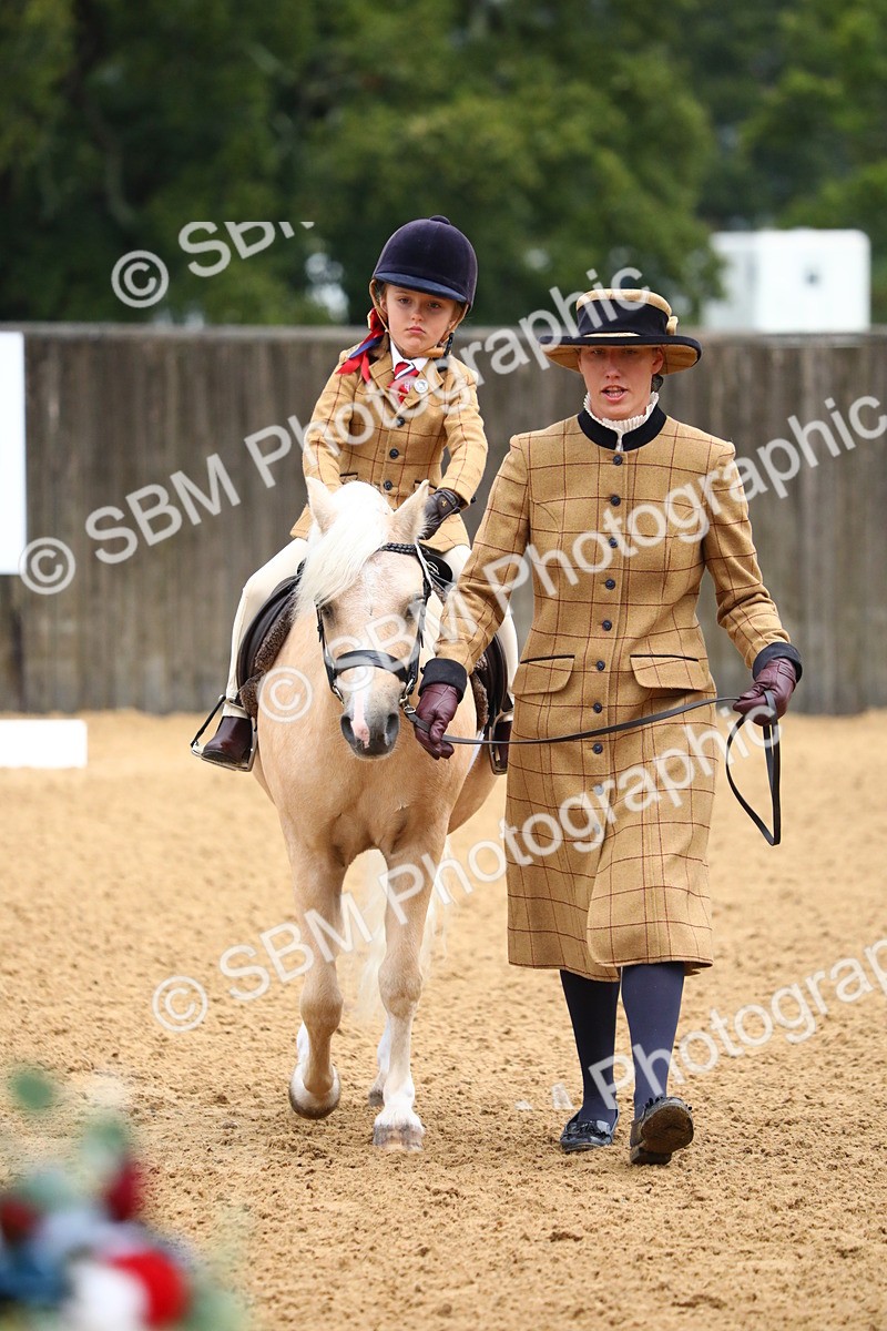 SBM_34557 - D26 - Starters Lead Rein