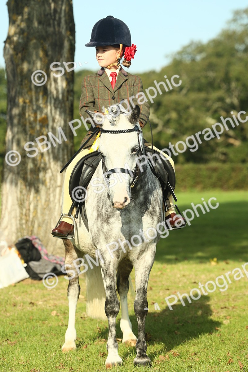 SBM_59274 - S38 - Starters Ridden Showing