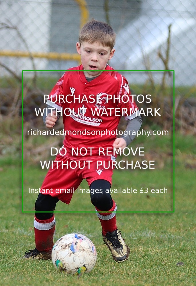 IMG_0430 - Ibis Under 8's vs Craven Wanderers Under 8's (22/2/25)