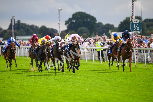 240823-Race 4-Warm Heart-0508 - Race 4 3.35pm Pertemps Network Yorkshire Oaks