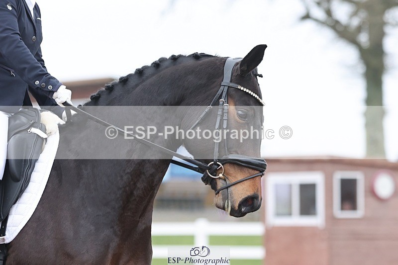 250216-100242-04971 - 258-Sarah.Colborn-ST.GILES.FIREWORK