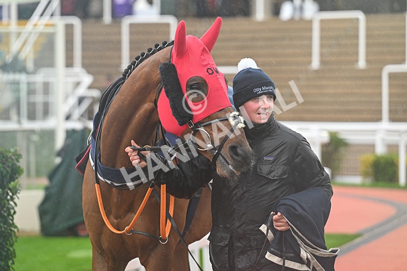 141125-Race 2-Gunsight Ridge-9516 - Race 2