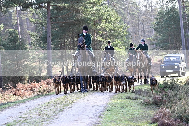 WJ7_7664 - Line 3 (no line 4 or 5)