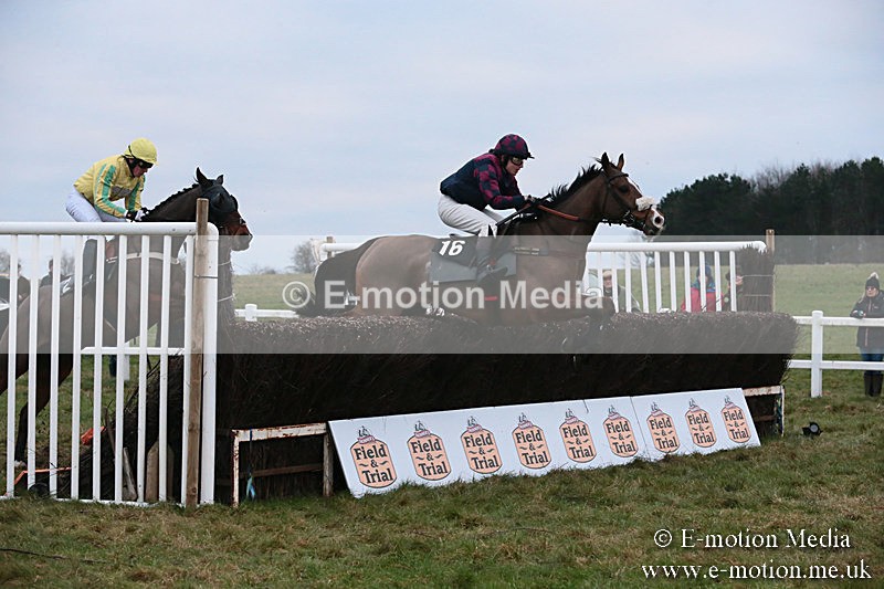 PtP 060119 580 - Larkhill Racing Club - Point-to-Point- 06/01/2019