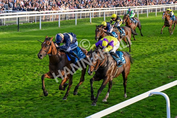 111025-Race 7-Lets Dream-0722 - Race 7 Coral 'Committed To Safer Gambling' Finale Handicap at York